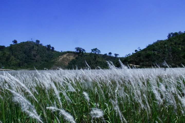   Vượt lên nỗi đau da cam