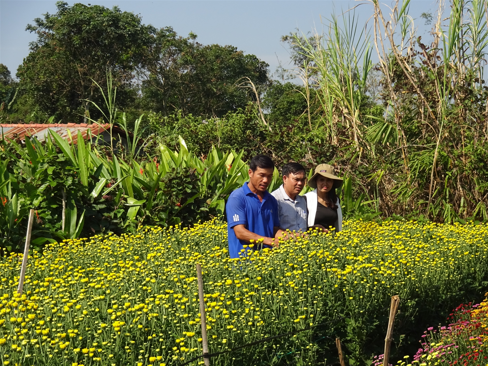 Rộn ràng hàng hoa Tết 