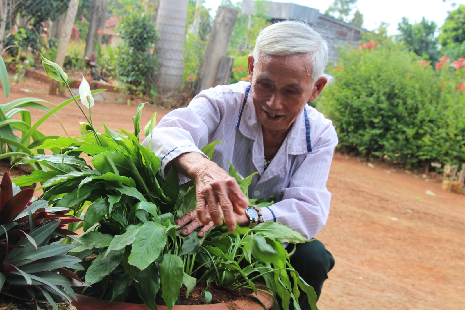 Hai người cao tuổi tại xã Ea Na từ chối nhận hộ nghèo