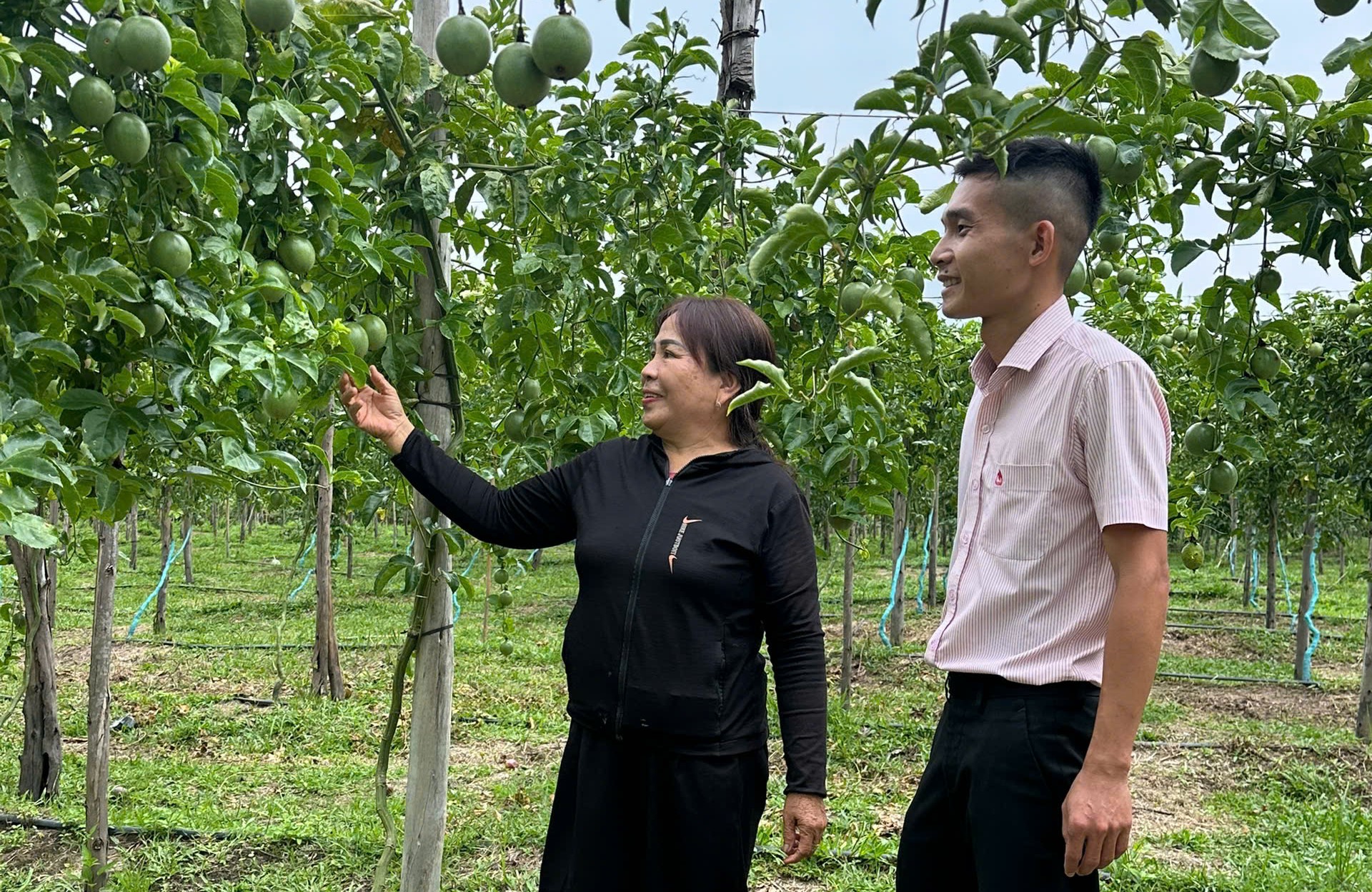 PHÒNG GIAO DỊCH NHCSXH KRÔNG BÔNG THỰC HIỆN HIỆU QUẢ CÁC CHƯƠNG TRÌNH TÍN DỤNG CHÍNH SÁCH