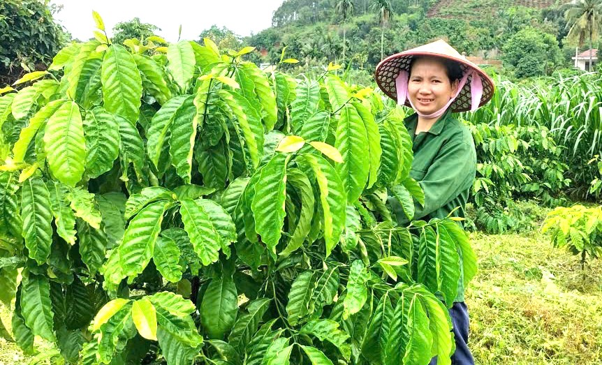 XÃ KRÔNG BÔNG: PHÁT HUY HIỆU QUẢ NGUỒN VỐN TÍN DỤNG CHÍNH SÁCH GIÚP HỘ CẬN NGHÈO PHÁT TRIỂN SẢN XUẤT